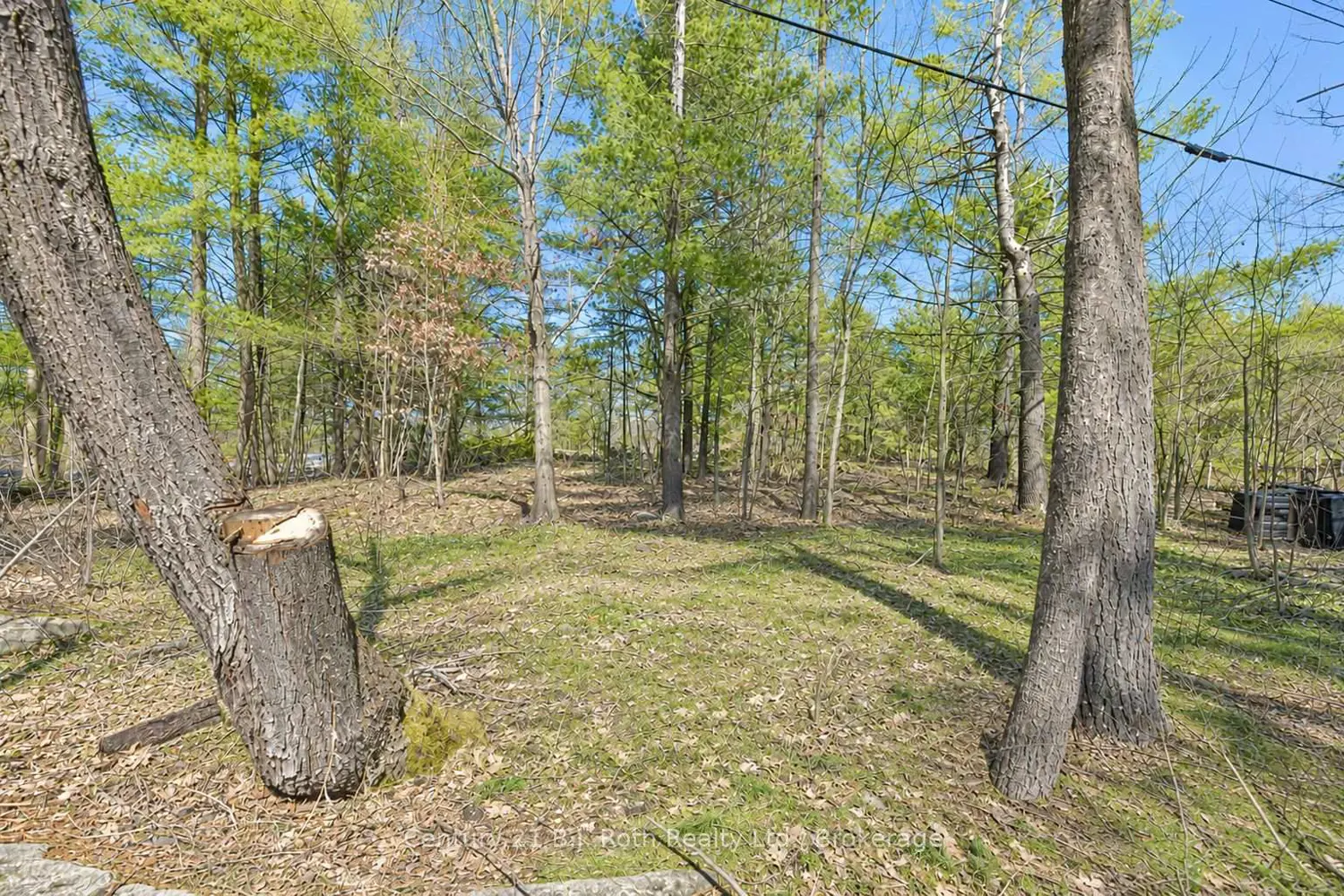Additional image 17 of 620 Pinedale Road