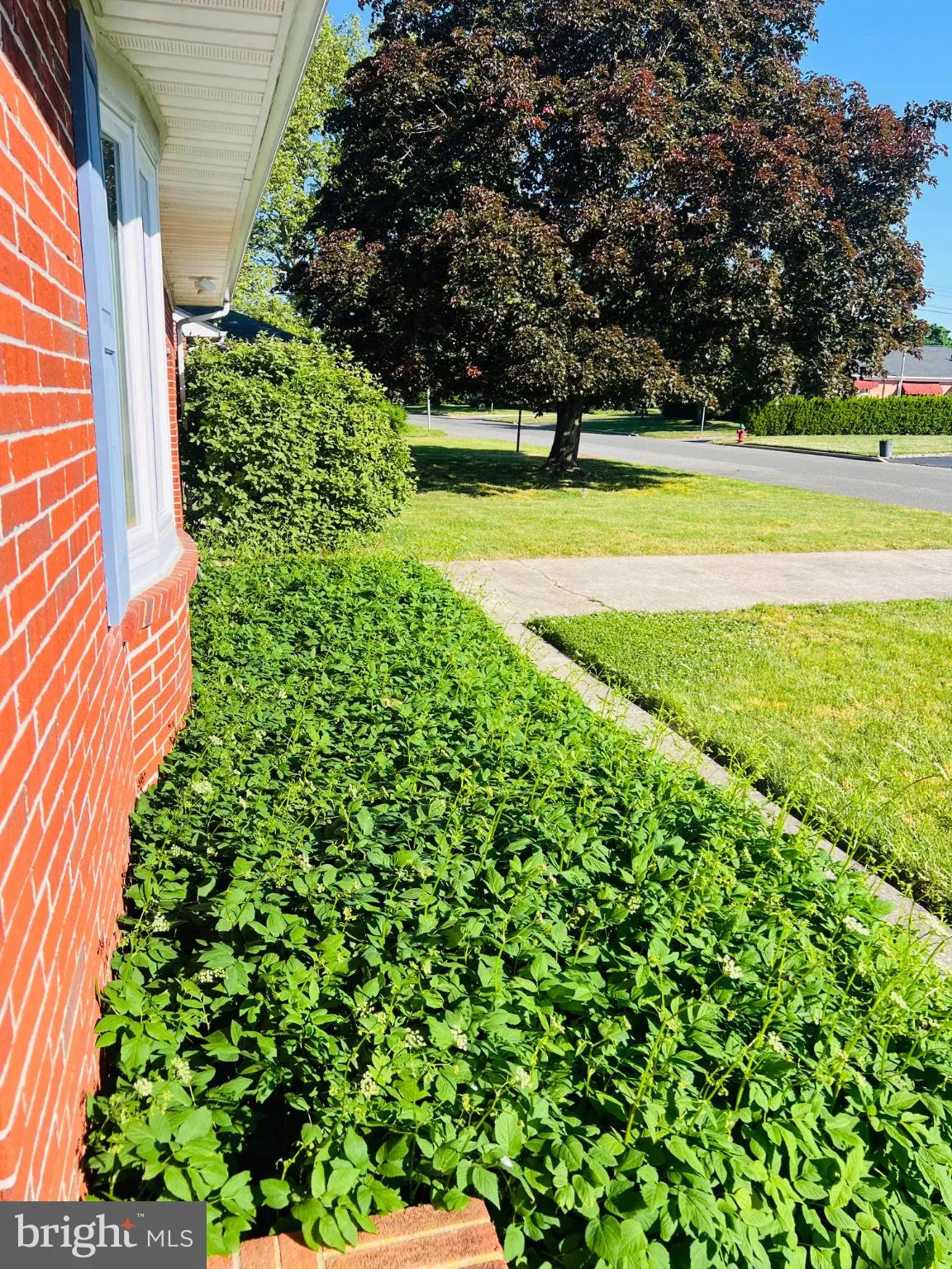 Additional image 64 of 321 Tyler Lane, Smyrna, DE 19977