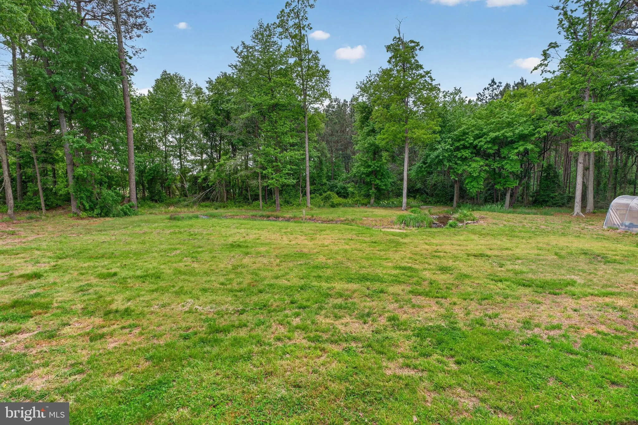 Additional image 81 of 14514 Tull Road, Greenwood, DE 19950