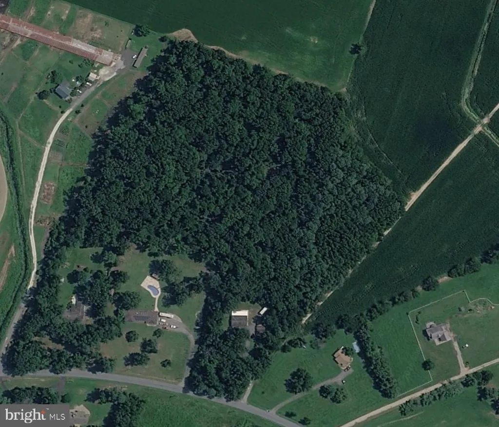 Additional image 2 of Vacant Lot 6.1 Acres Prospect Church Road, Harrington, DE 19952
