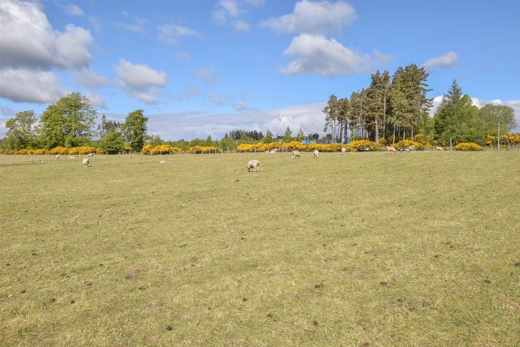 Land for saleGreenhill, Killearnan, Muir Of Ord IV6