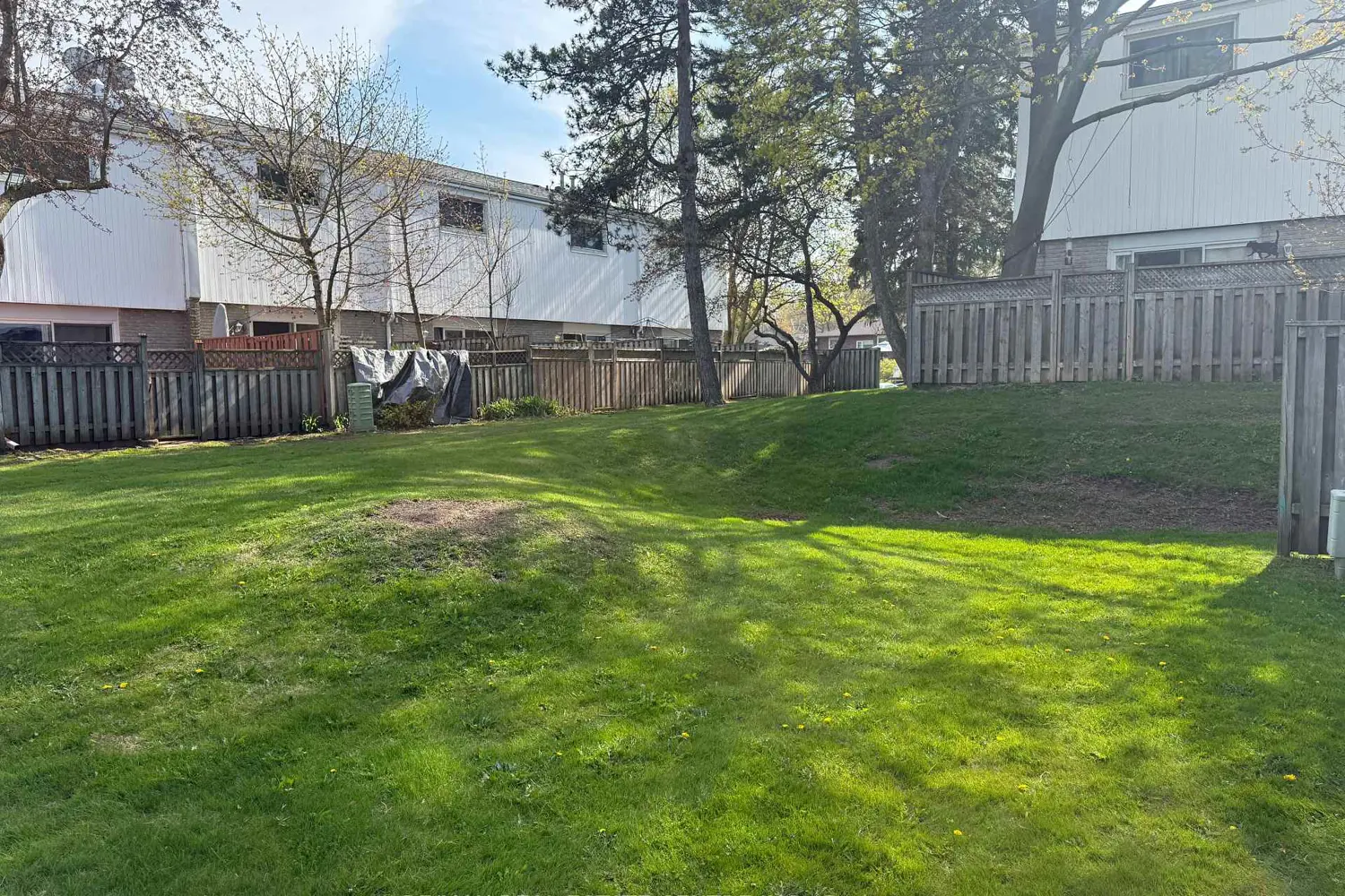 Additional image 19 of 325 William Street 21