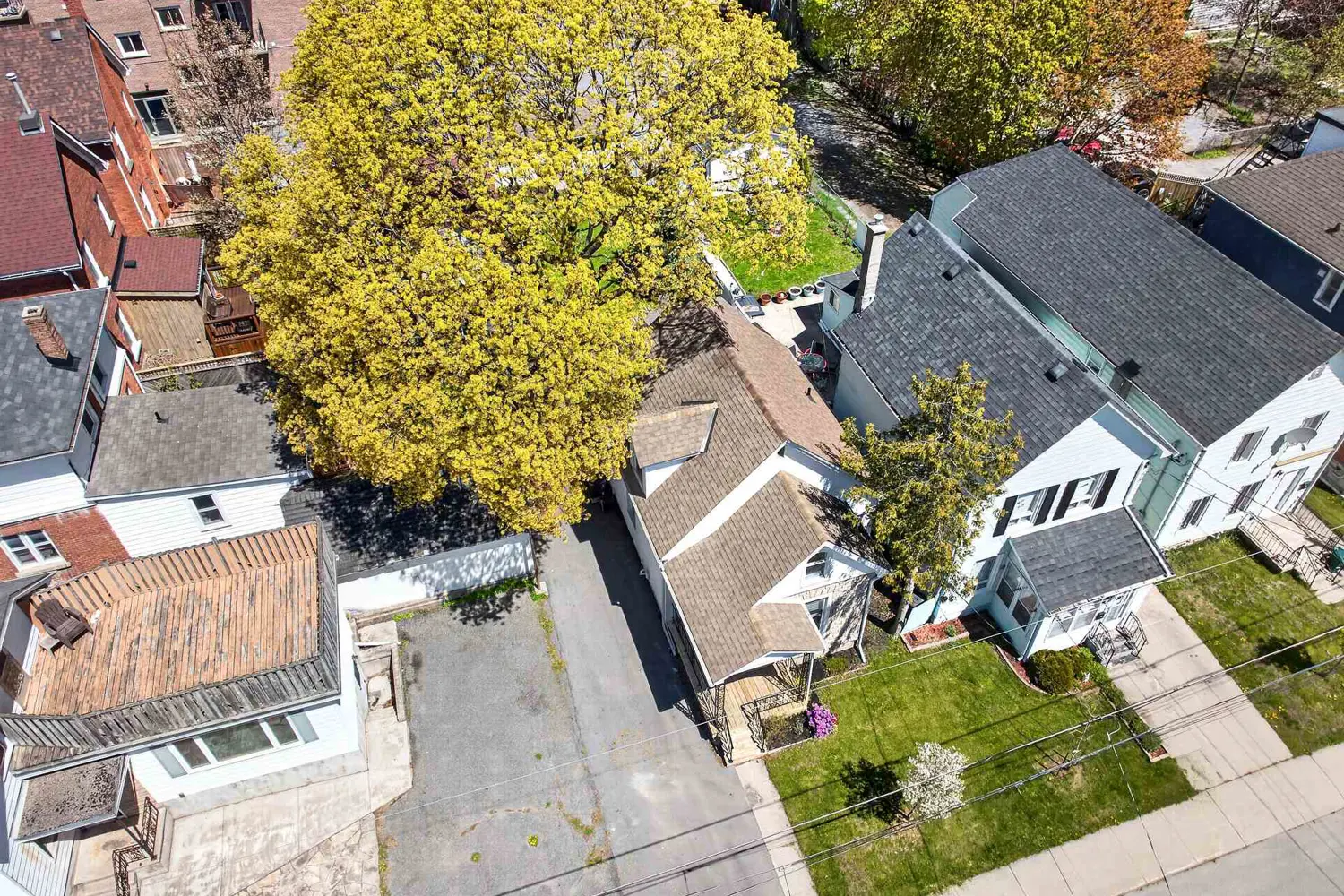 Additional image 2 of 23 Jenkins Street