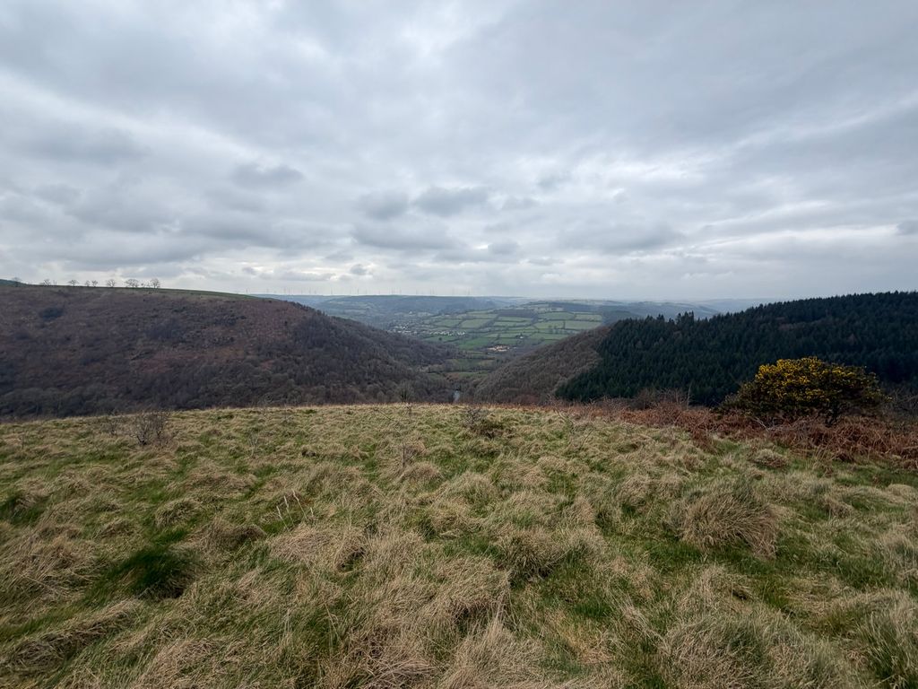 Additional image 3 of Farm to rentLlanfynydd, Carmarthen SA32