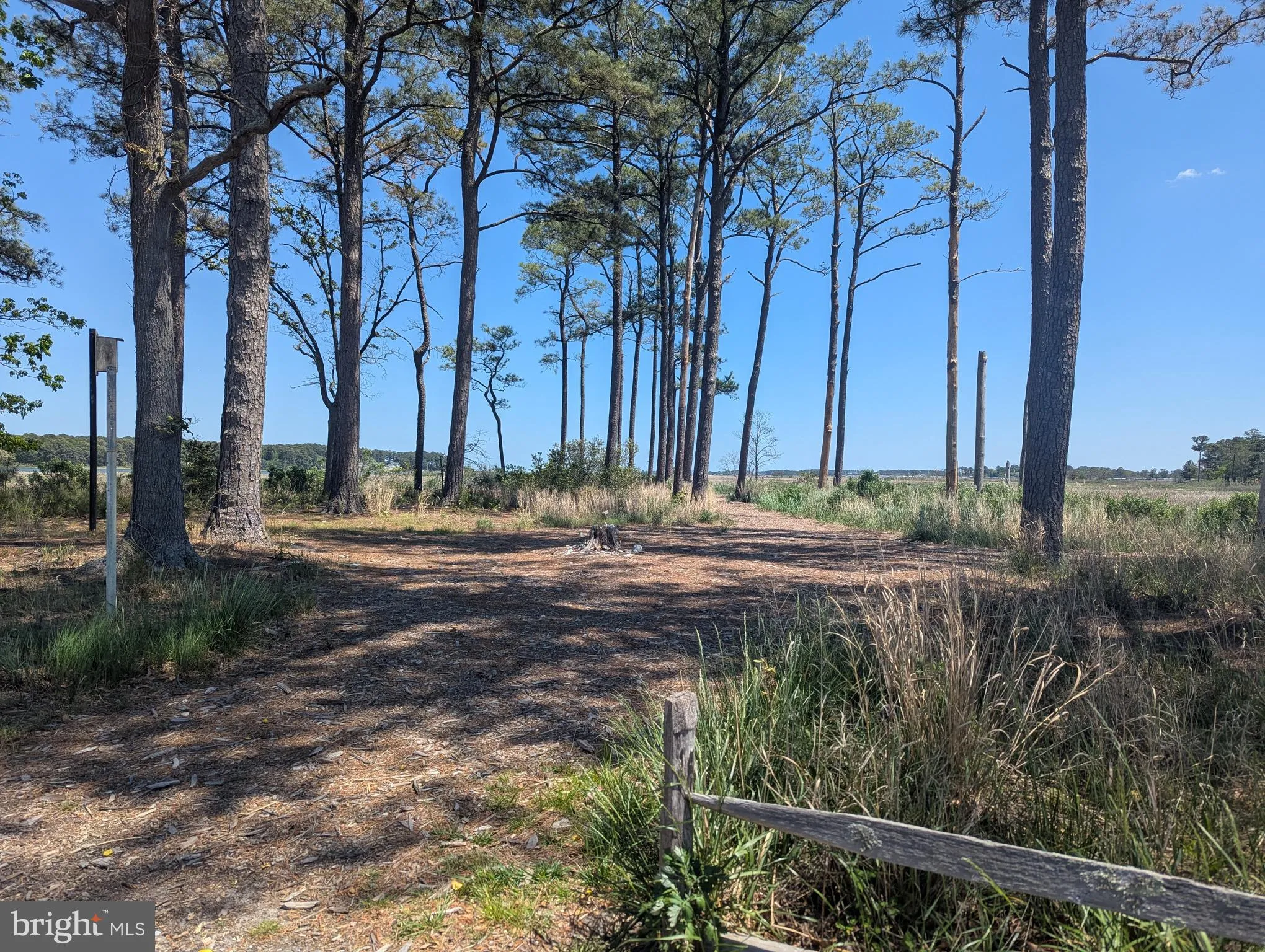 Additional image 64 of 34652 Crows Nest Lane, Millsboro, DE 19966