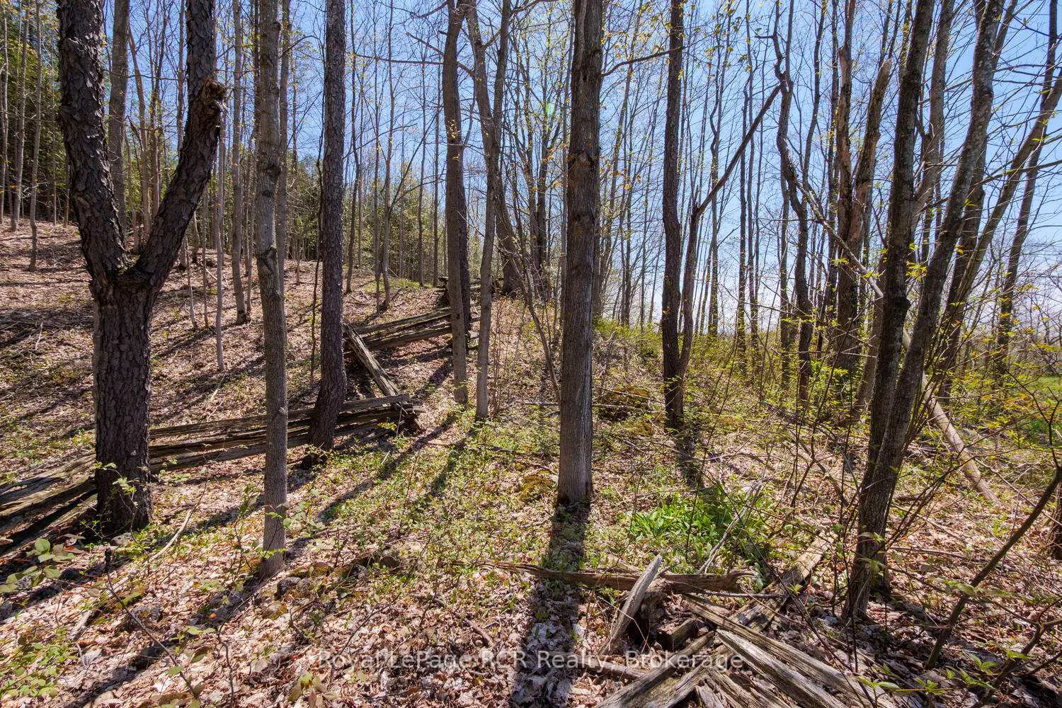 Additional image 17 of 384317 Concession 4 Concession