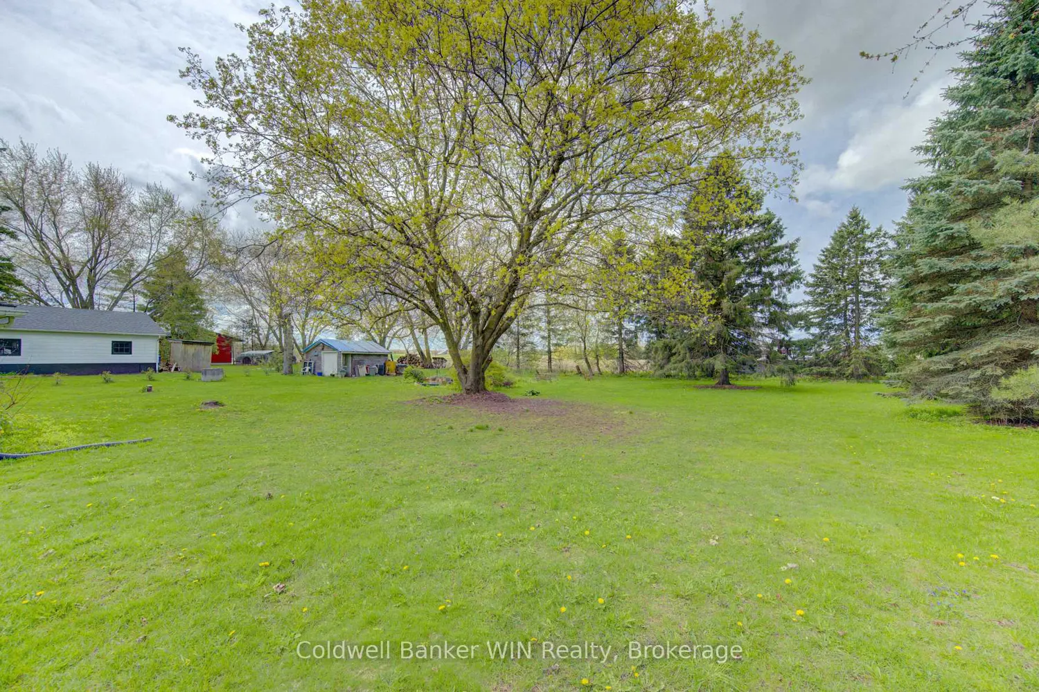 Additional image 11 of 186 Mcfarlin Drive