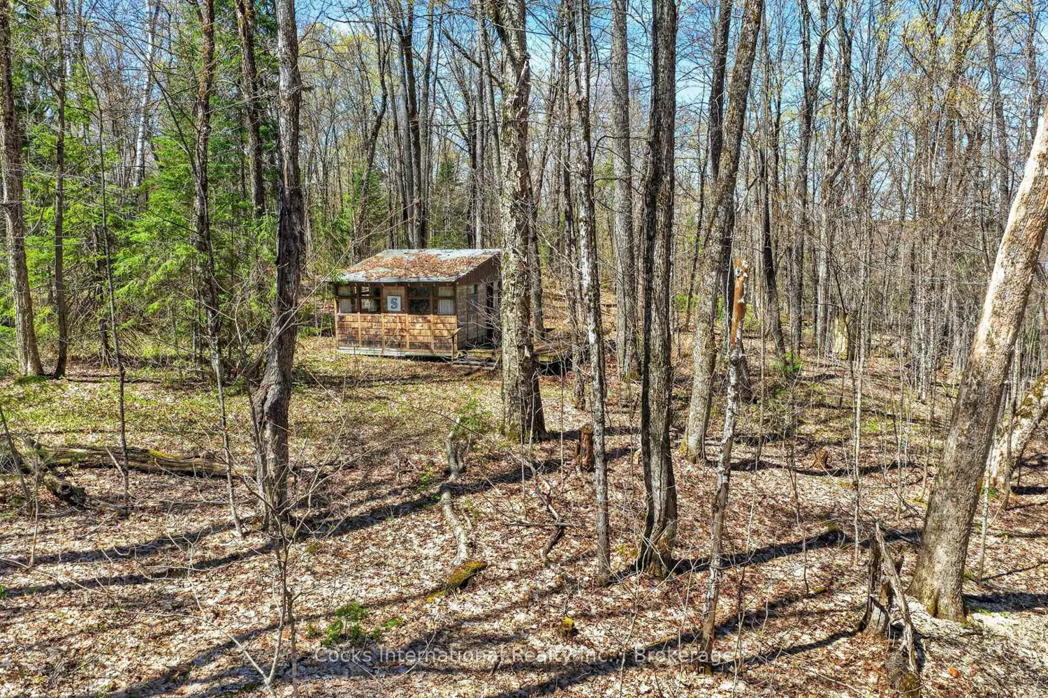 Additional image 6 of 1165 Spring Lake Road