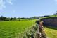 Additional image 22 of Harding Meadow, Widegates, Looe, Cornwall, PL13