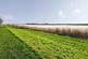 Additional image 20 of Saltmarshe, East Yorkshire DN14