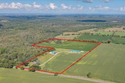 Additional image 7 of 4244 Doane Road, East Gwillimbury, ON, L0G 1V0