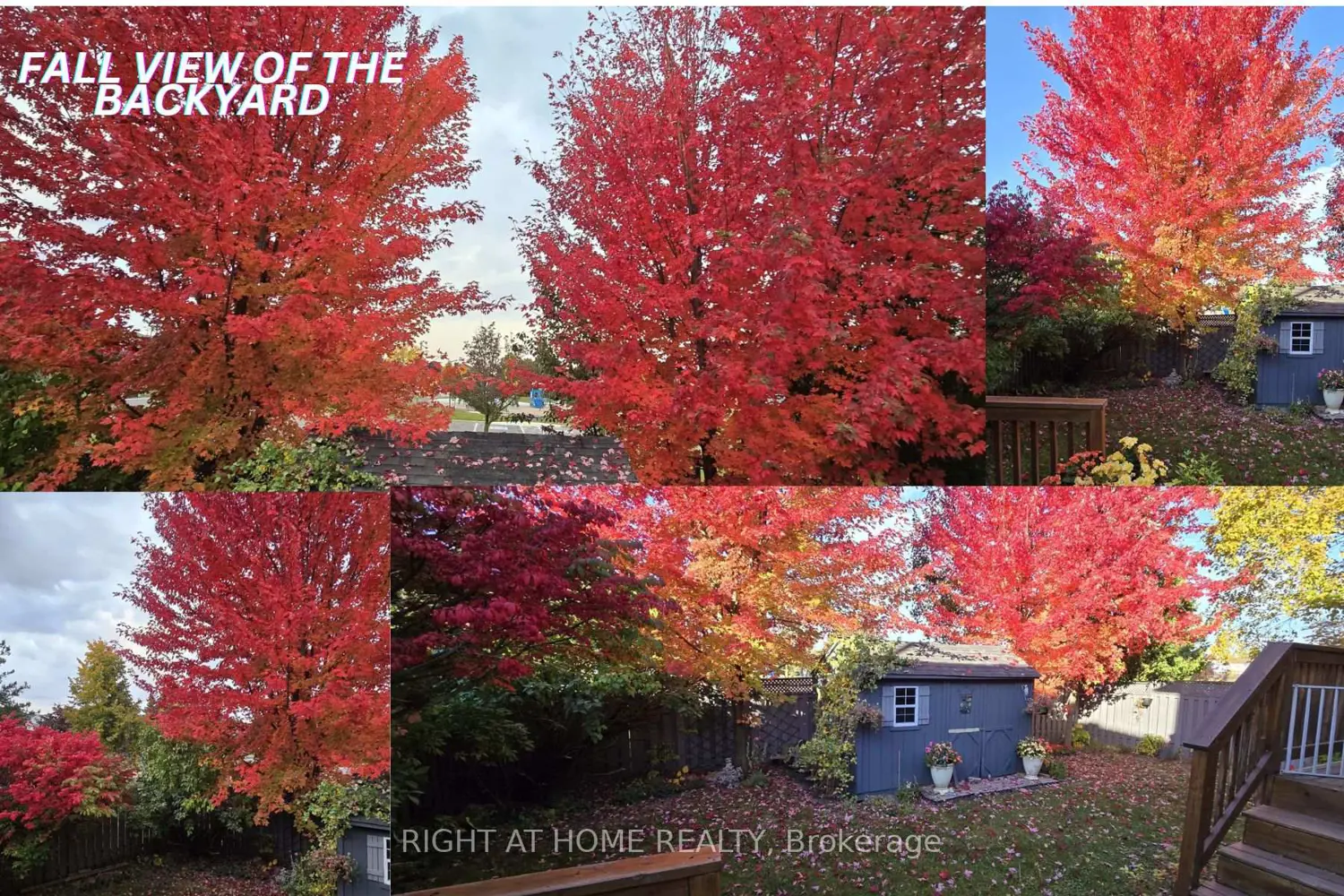 Additional image 19 of 928 Snowbird Street