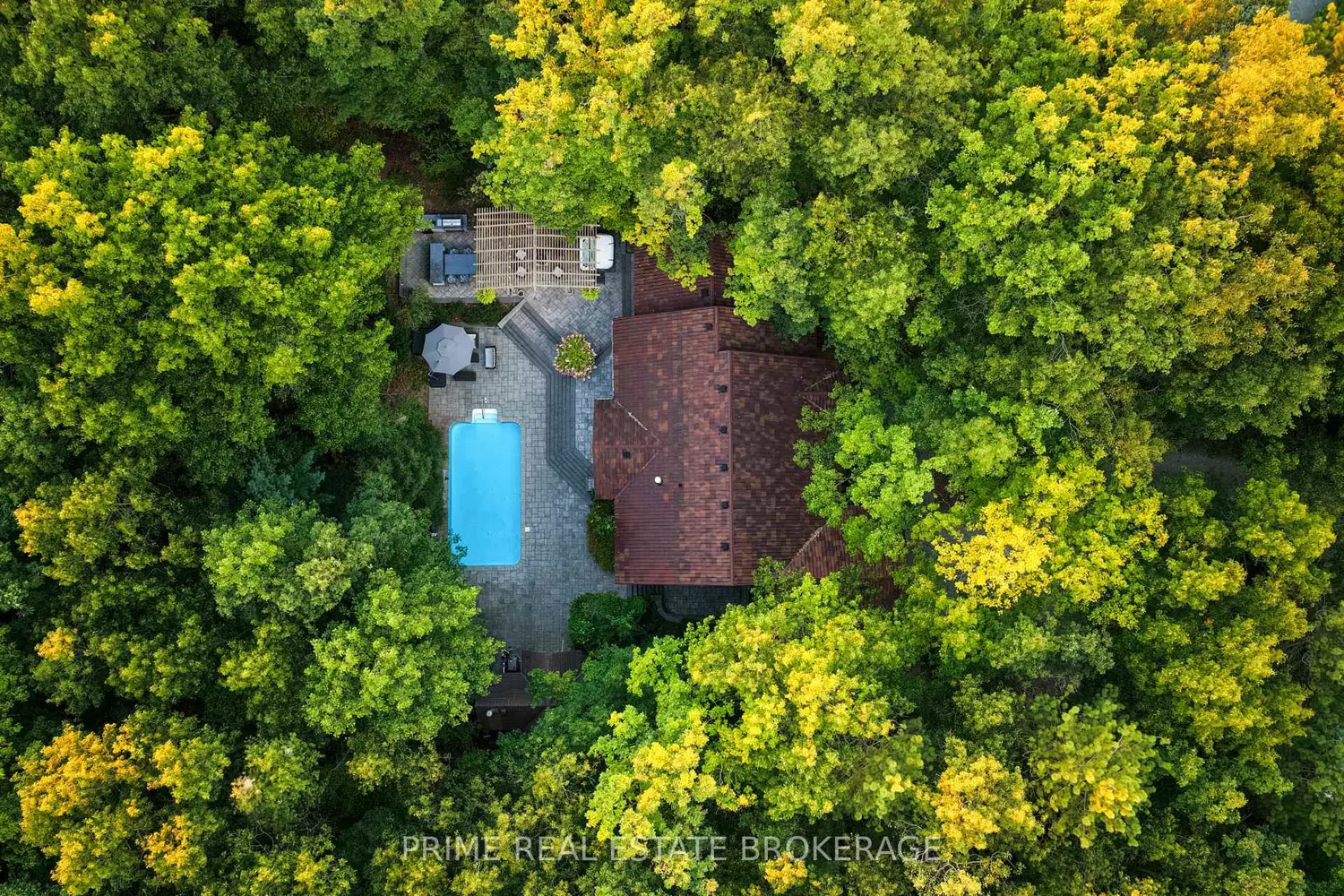 Additional image 17 of 10219 Pinetree Drive