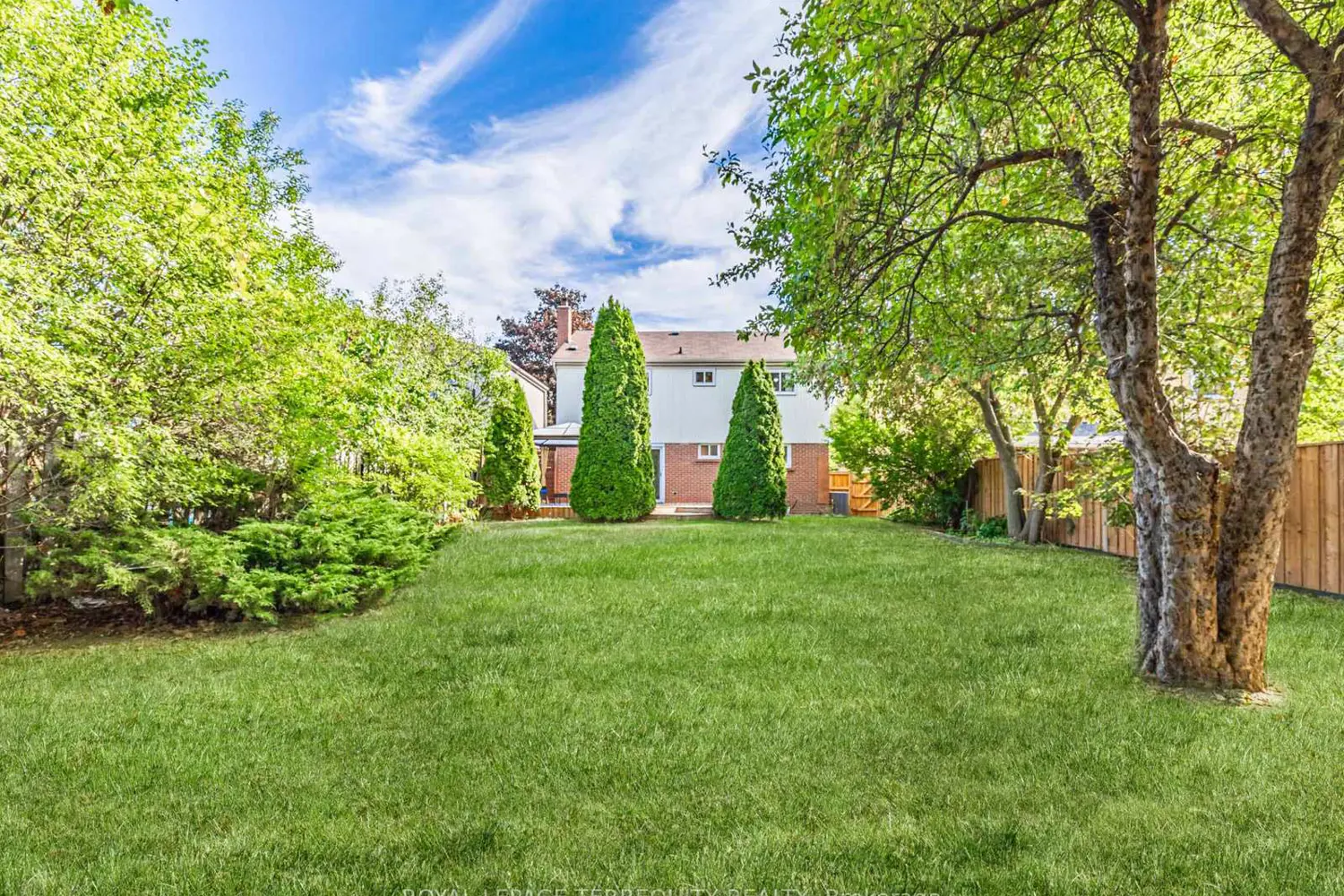 Additional image 20 of 1858 Shadybrook Drive