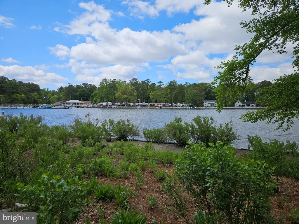 15 Pinewater Drive, Harbeson, DE 19951