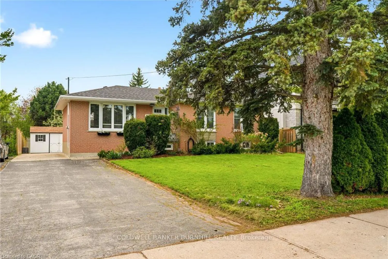 Additional image 20 of 452 Third Line