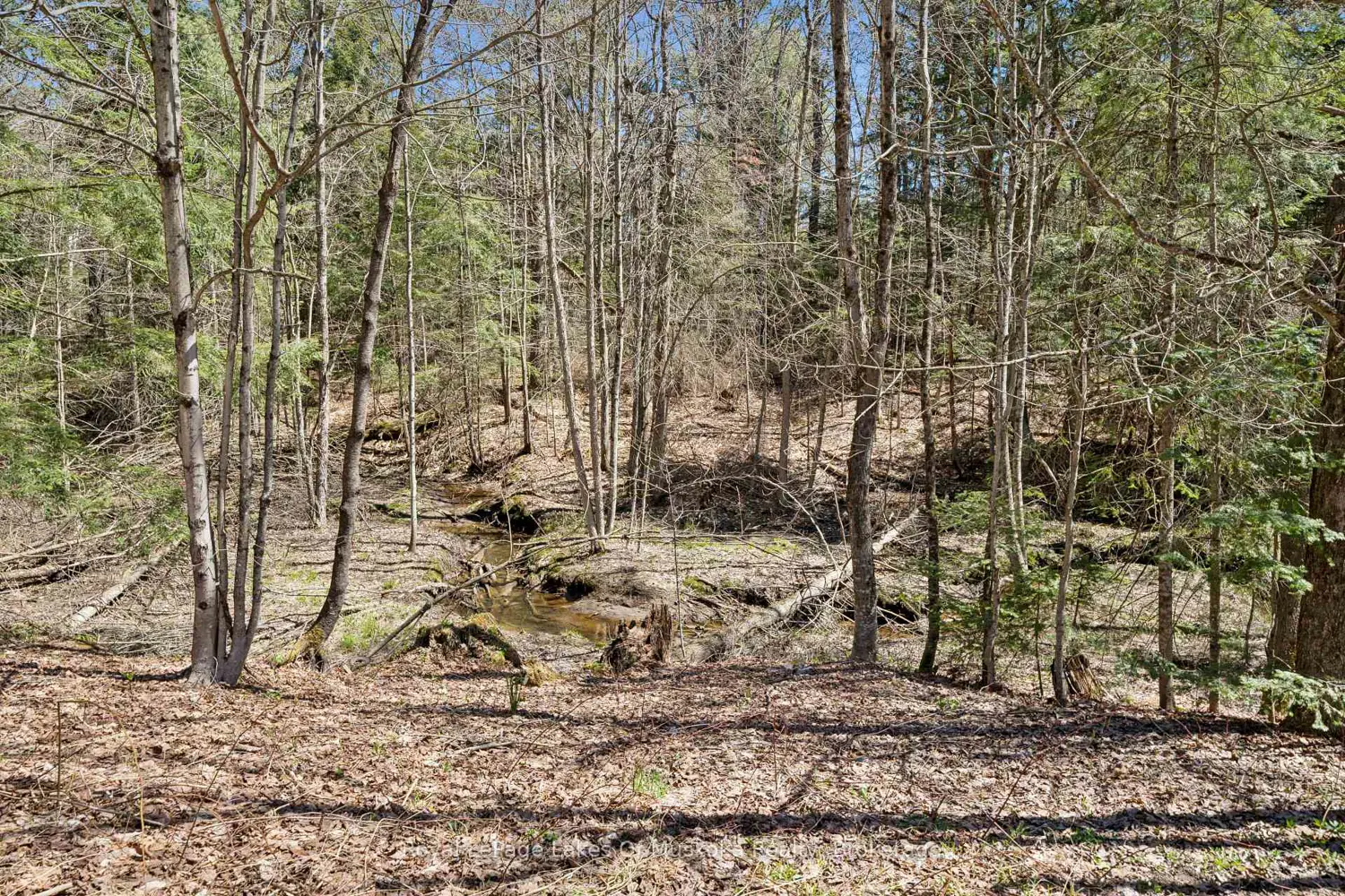 Additional image 2 of 1052 Old Falkenburg Road