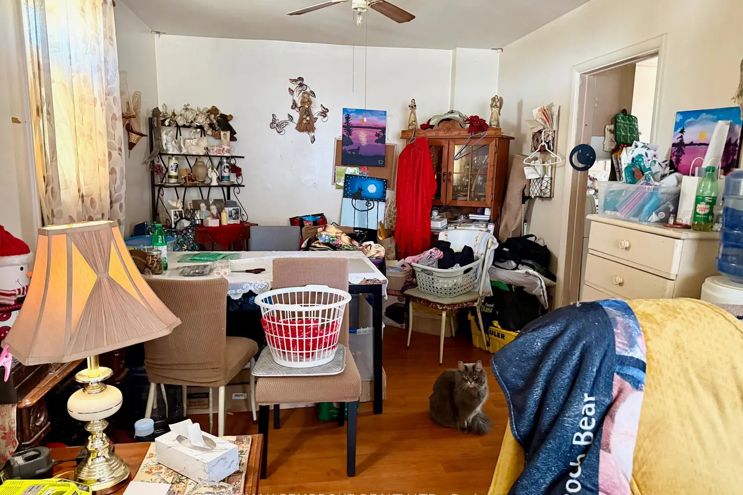 Additional image 5 of 153 Cecelia Street