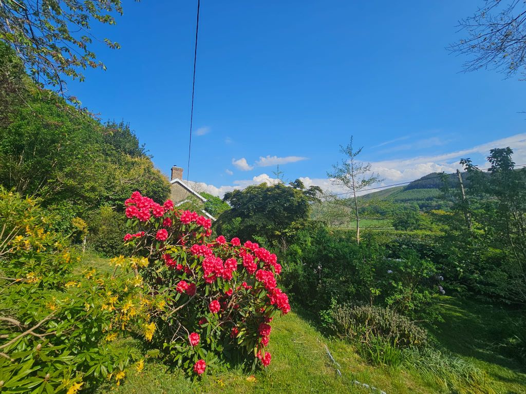 Additional image 33 of 3 bed detached house for saleCwmrheidol, Aberystwyth SY23
