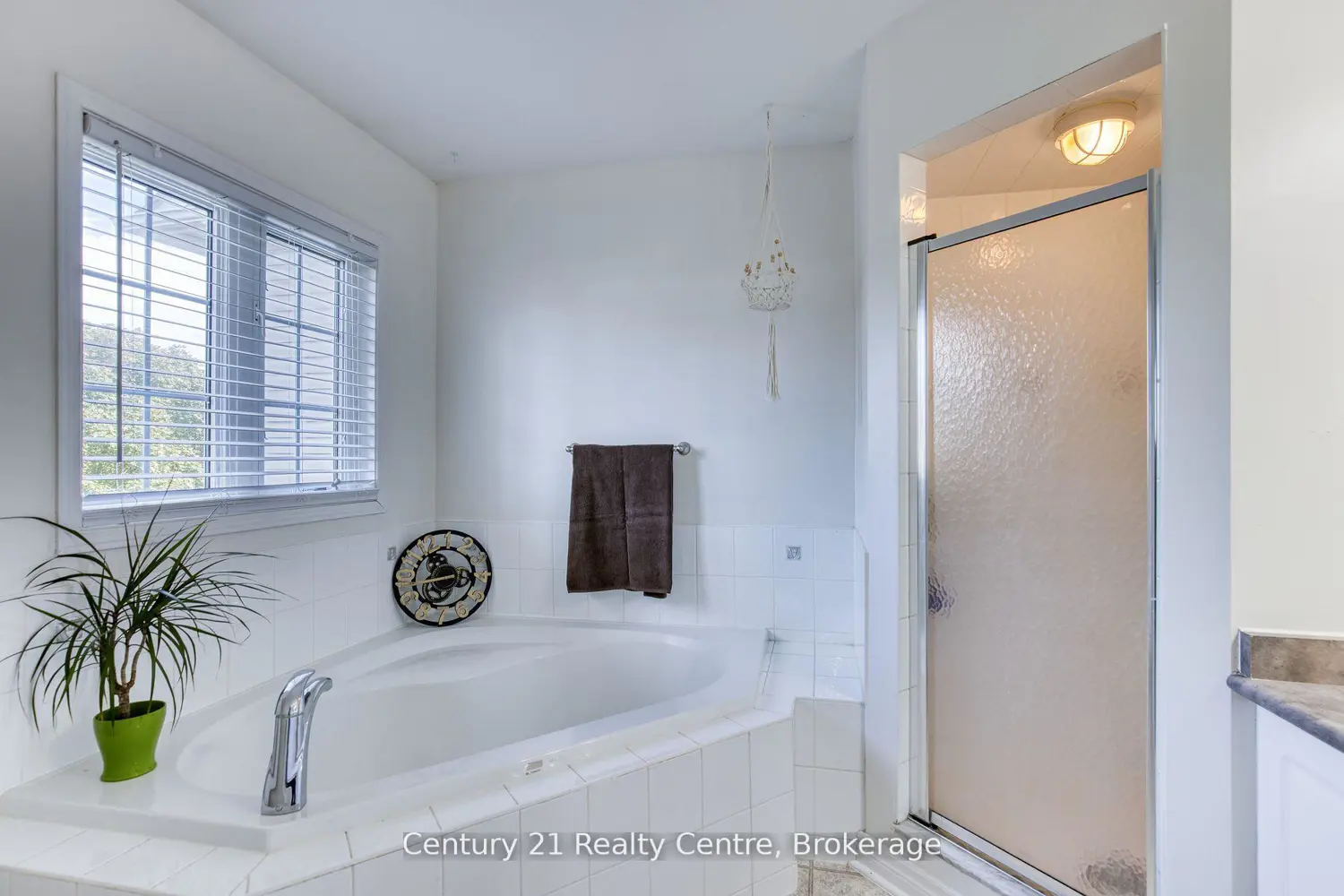 Additional image 12 of 45 Hatch Street