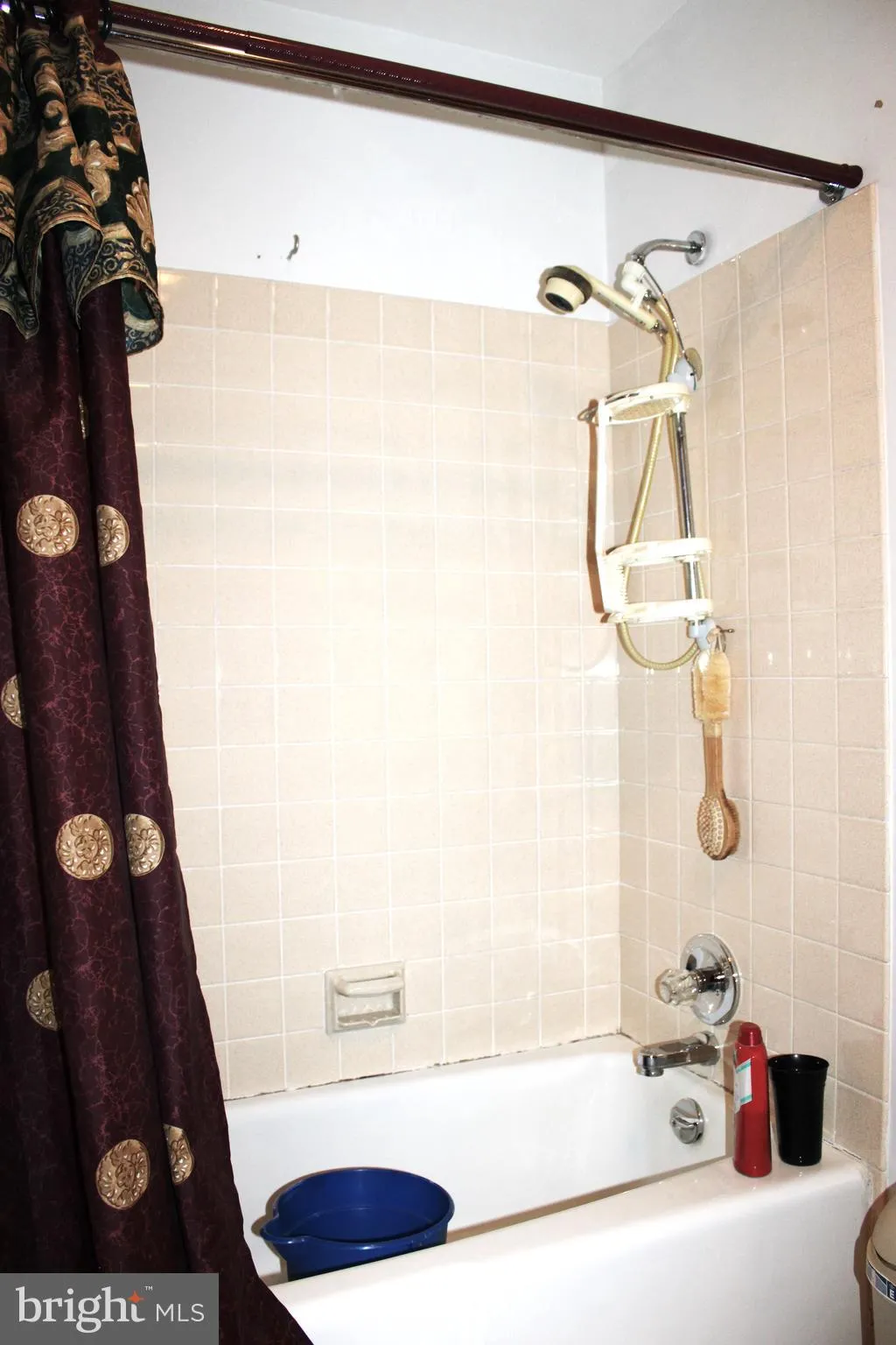 Additional image 181 of 14804 Bell Street, Cresaptown, MD 21502