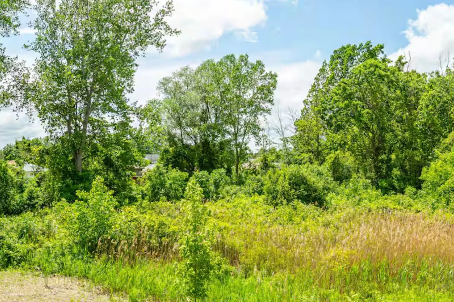 Additional image 11 of 7356 Sandy Ridge Common Sandy Ridge Common 11