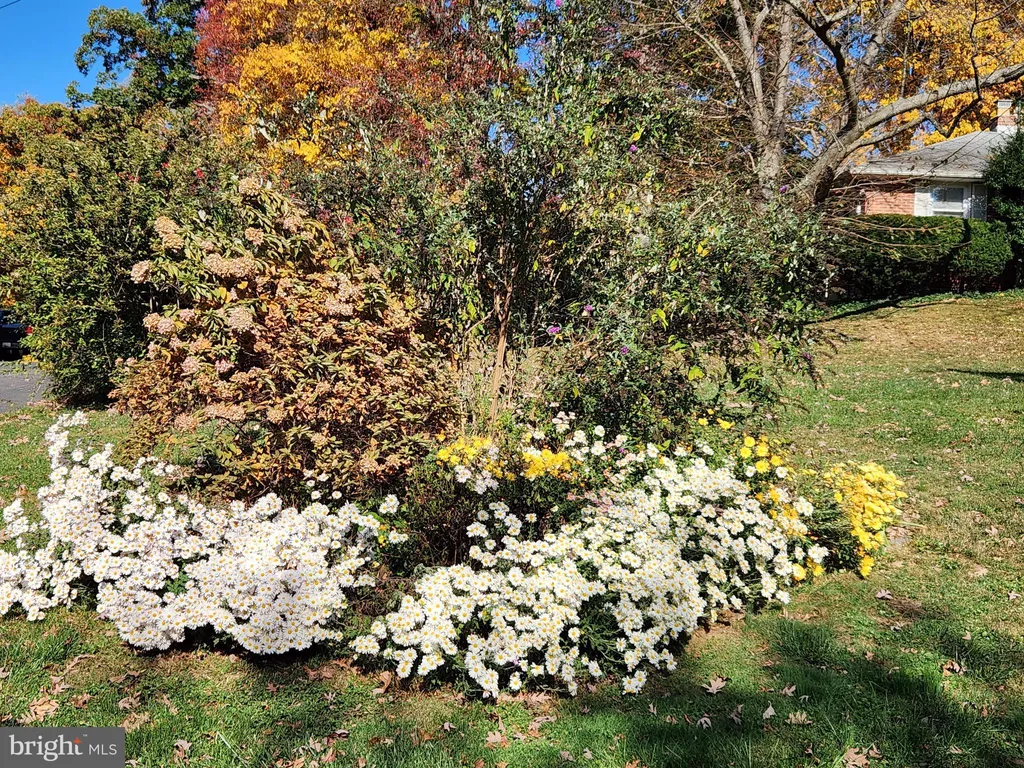 Additional image 37 of 2911 Nelson Lane, Fallston, MD 21047