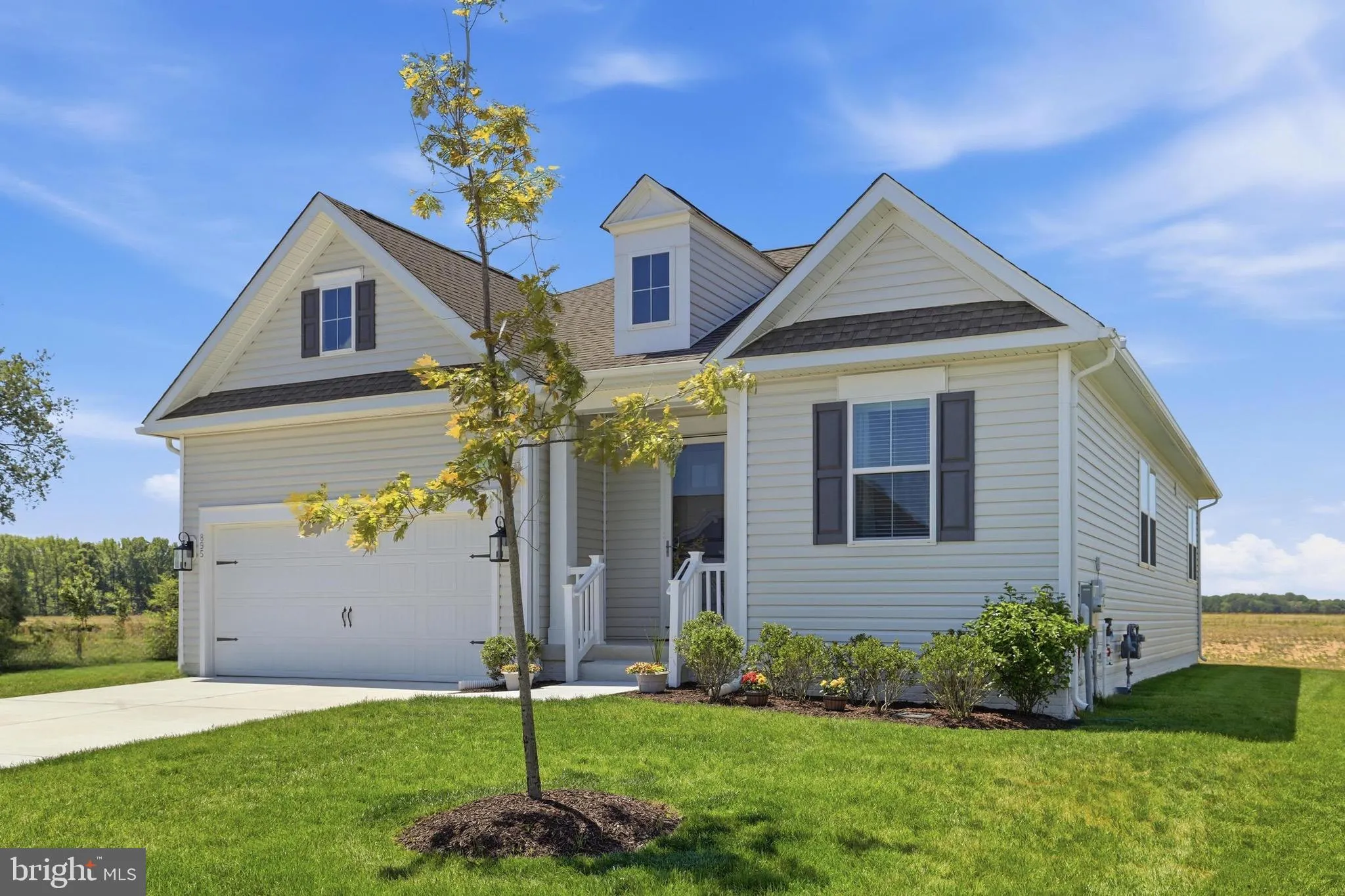 Additional image 56 of 895 Buxton Circle, Magnolia, DE 19962