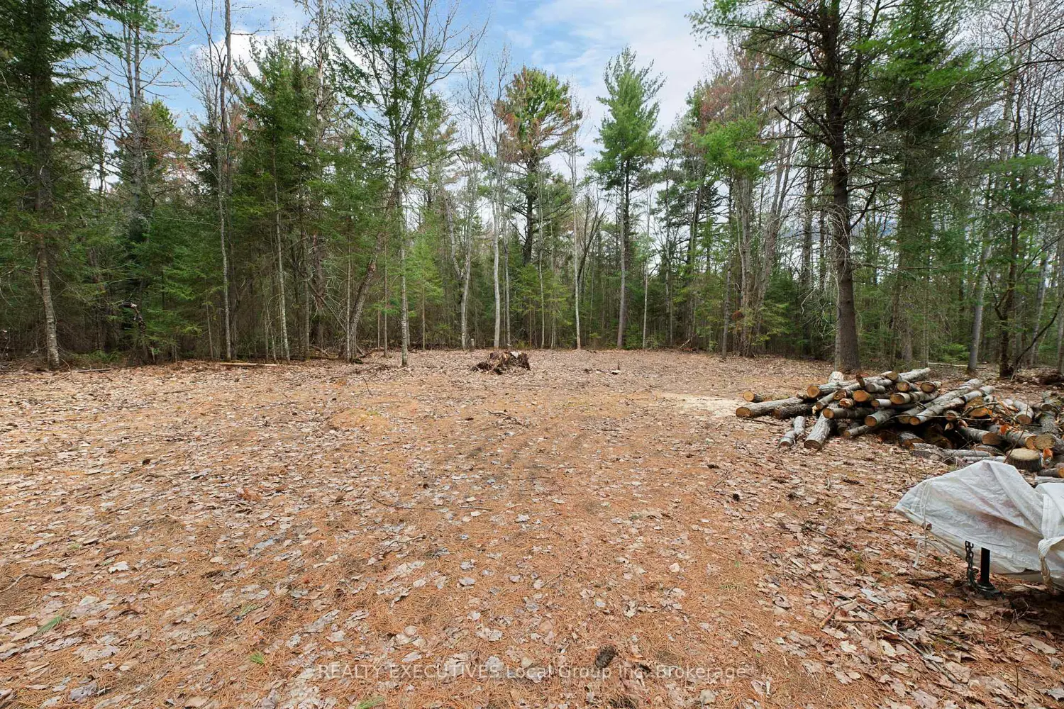 Additional image 17 of Lot 31 Pioneer Road