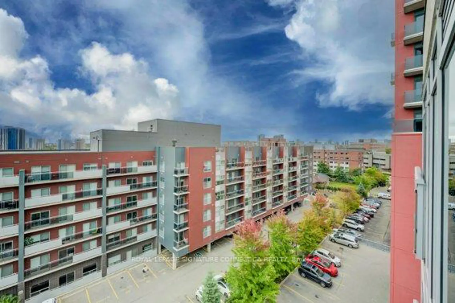 Additional image 17 of 250 Albert Street 208