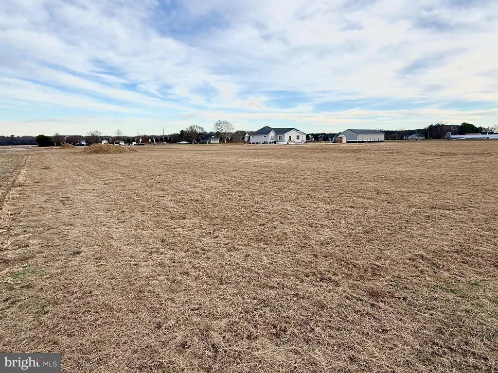 Gravel Hill Road, Millsboro, DE 19966