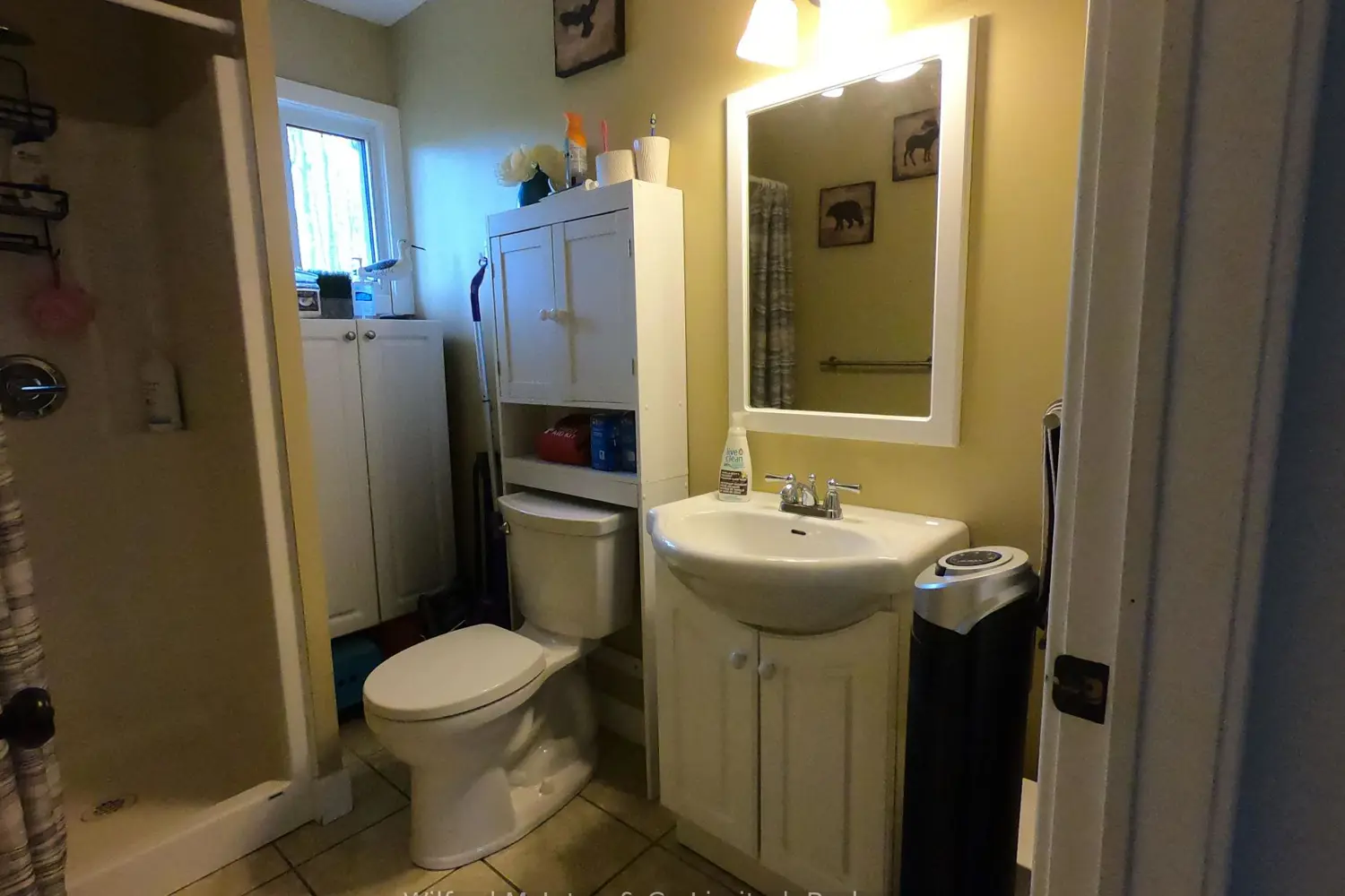 Additional image 12 of 199 Thompson Avenue