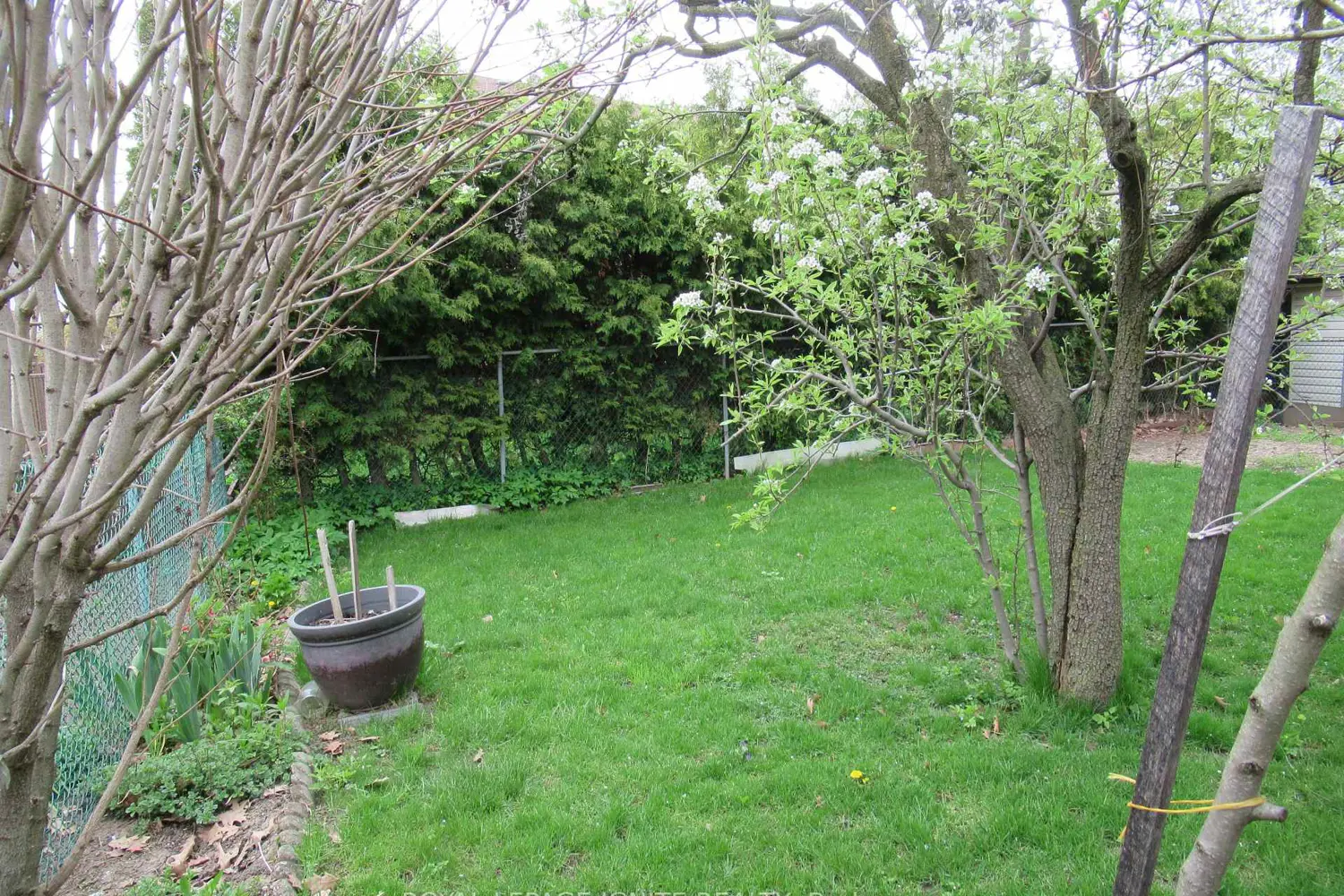 Additional image 20 of 8 Newlove Court