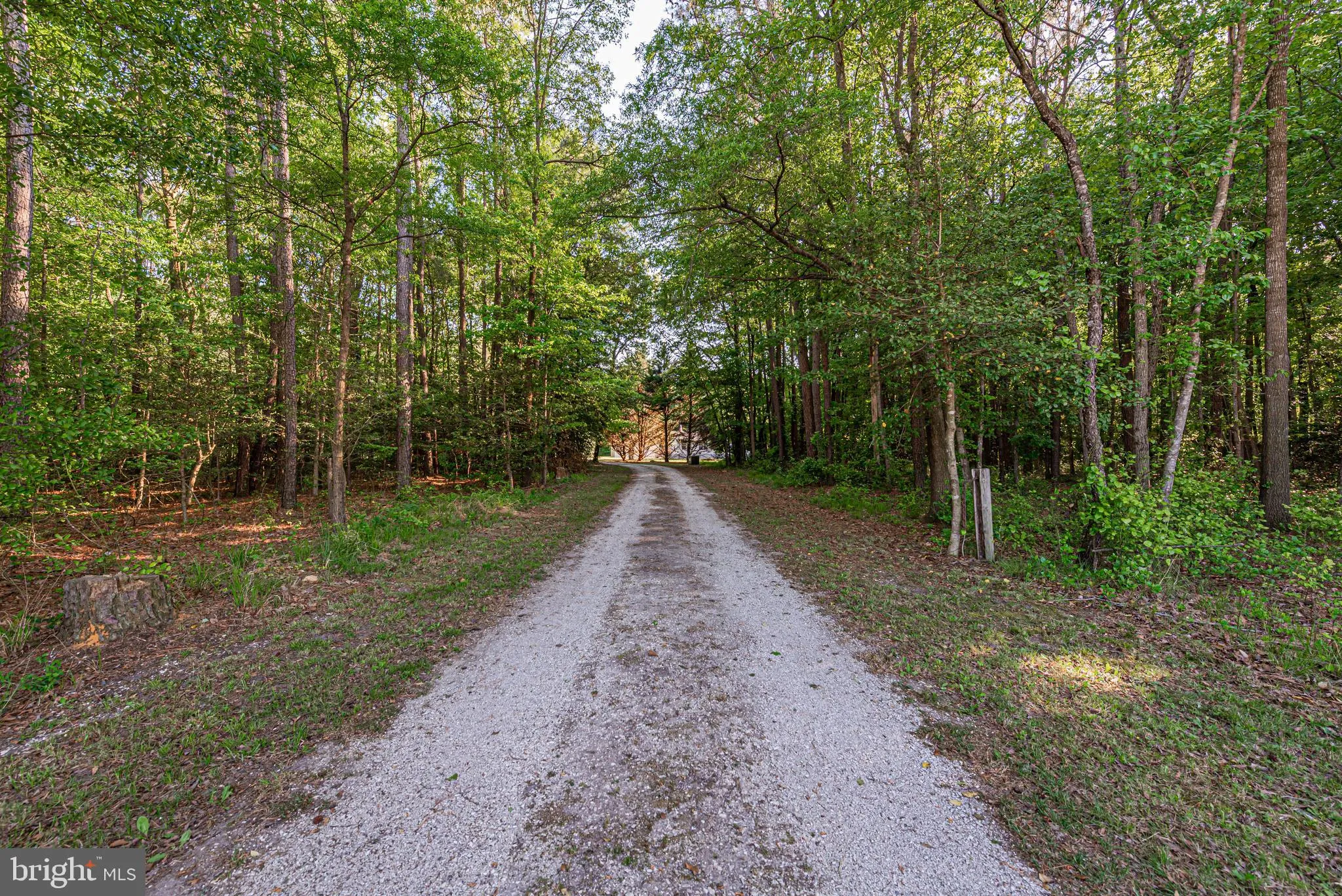 Additional image 65 of 13194 Hunters Cove Road, Greenwood, DE 19950
