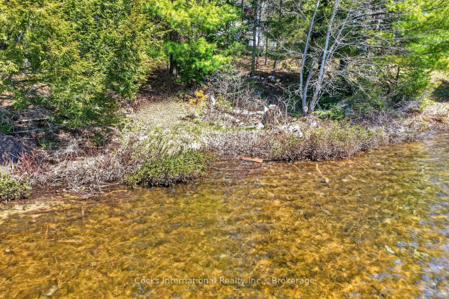 Additional image 3 of 1165 Spring Lake Road