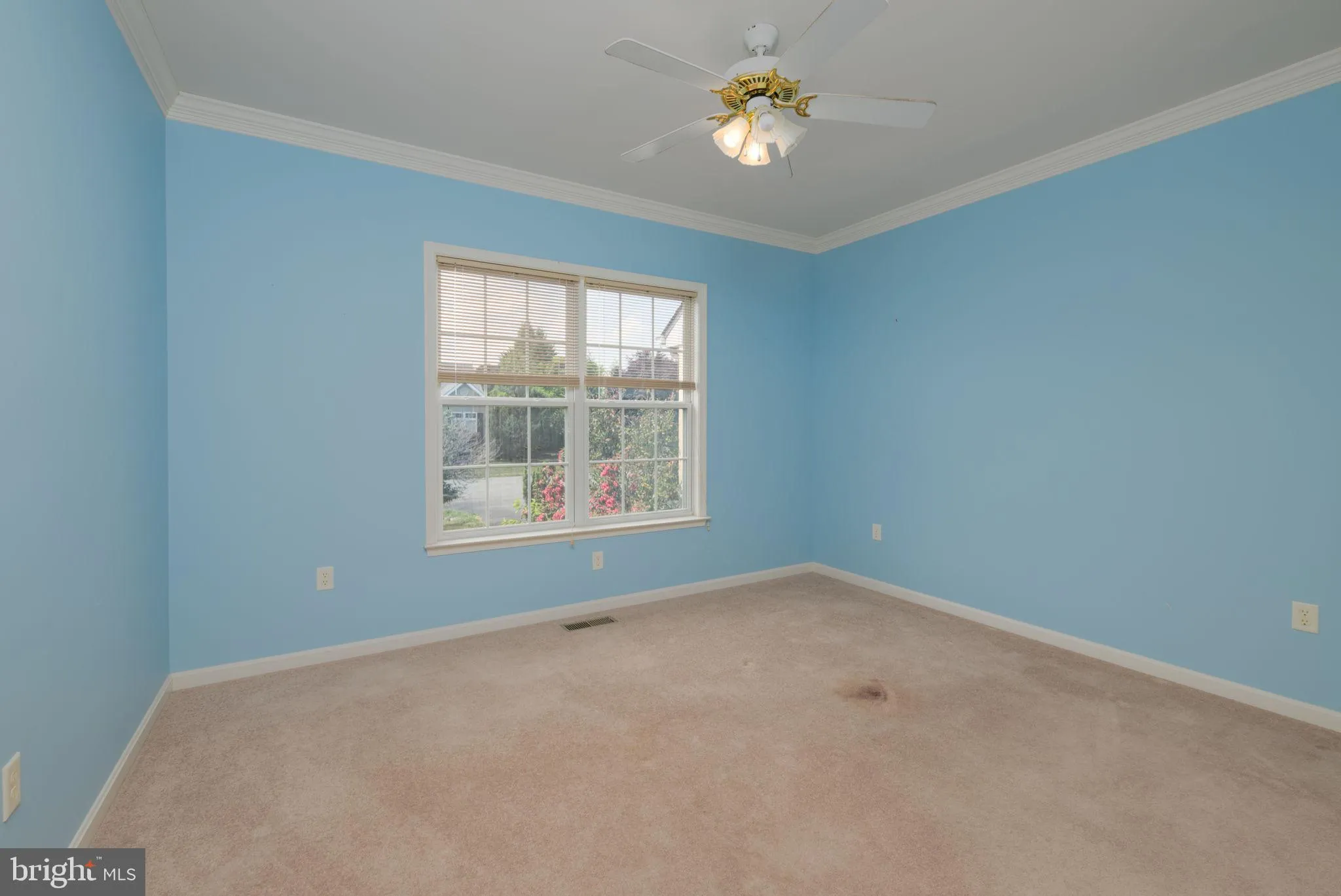 Additional image 68 of 16841 Devon Road, Lewes, DE 19958
