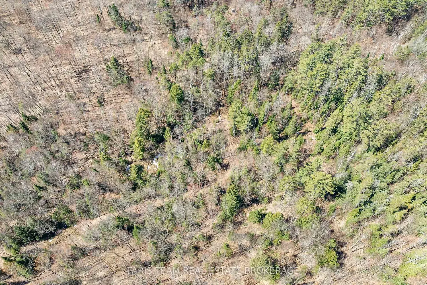 Additional image 12 of 2180-2186 Highway 141