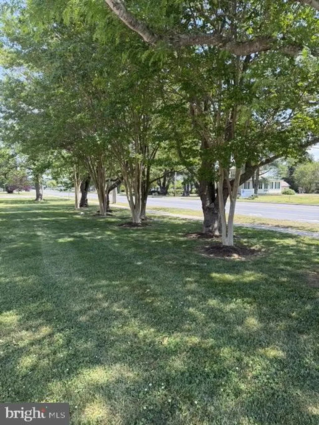 2 Murrays Lane, Georgetown, DE 19947 photo 5