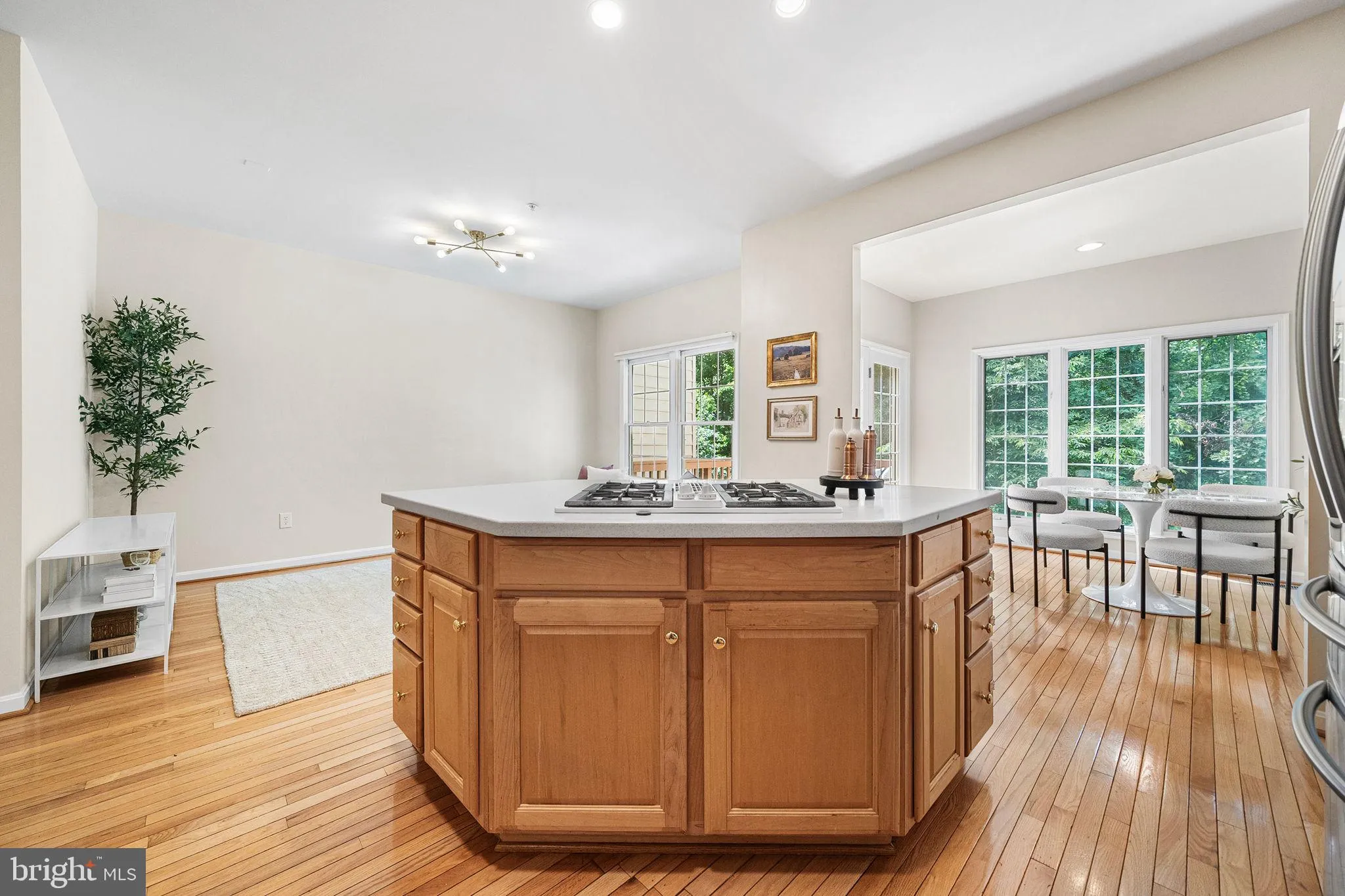 Additional image 91 of 135 Wootton Oaks Court, Rockville, MD 20852