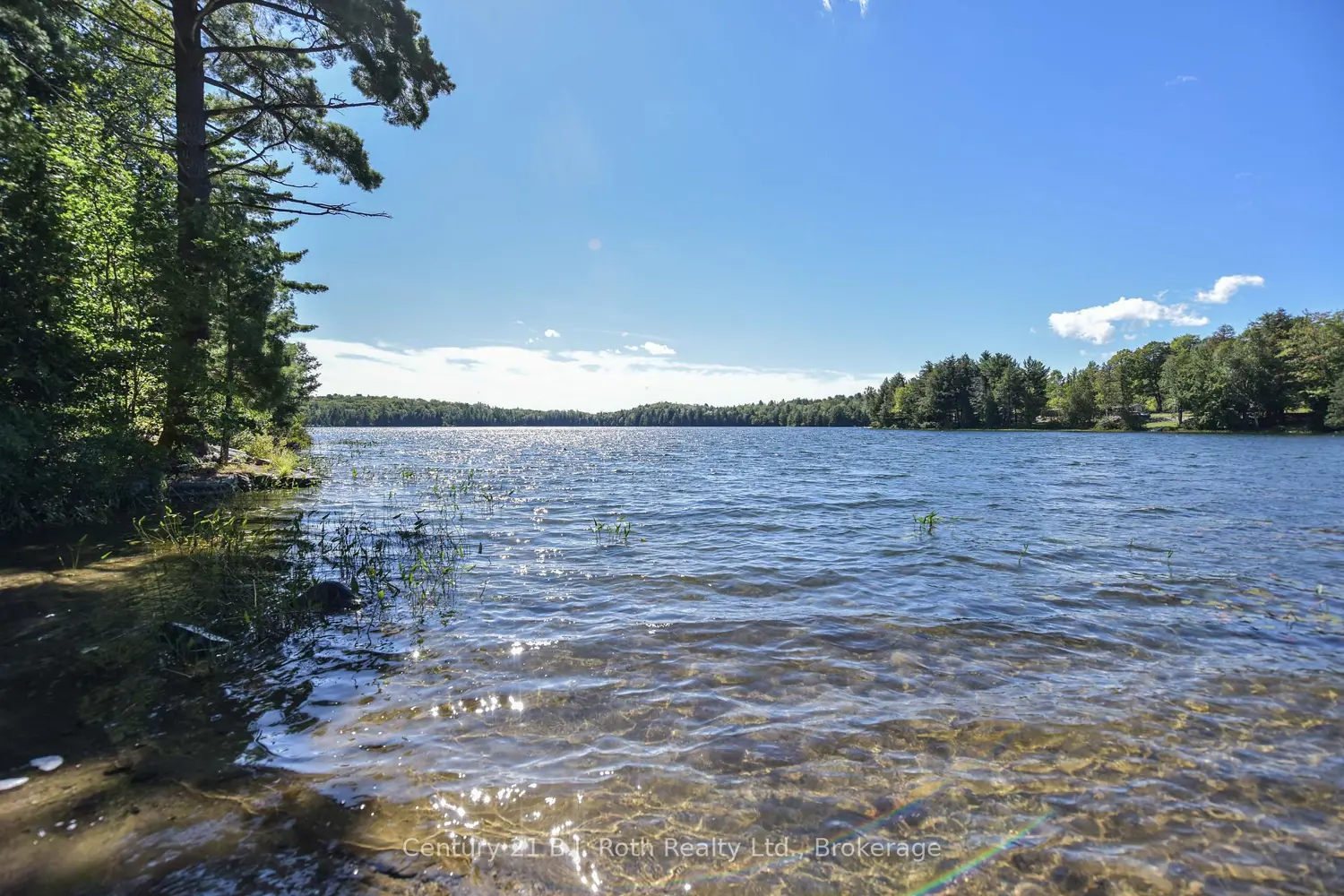 Additional image 13 of 1047 Bonnie Lake Camp Road 804