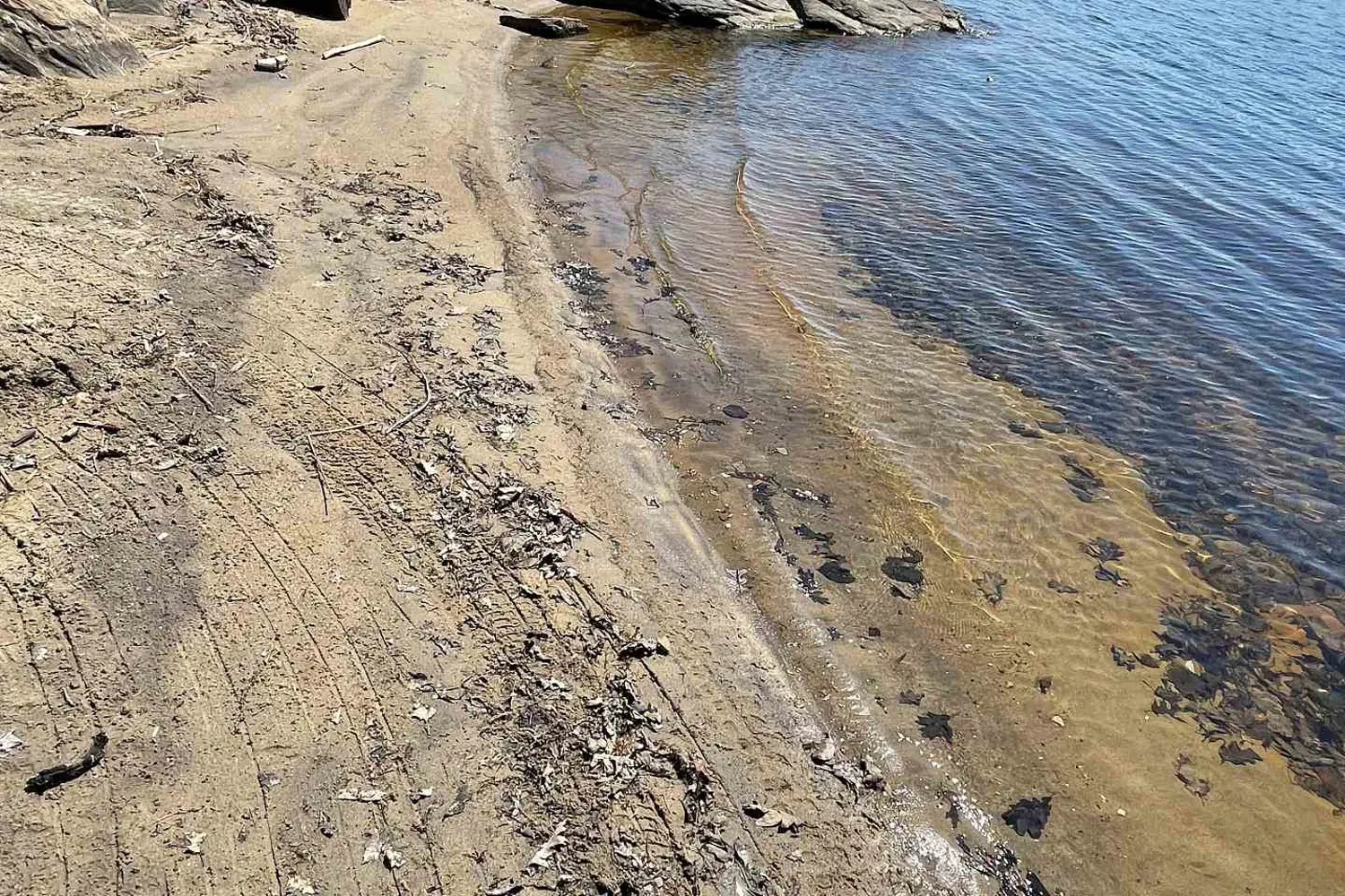 Additional image 16 of 1336 South Morrison Lake Road 3 Morrison Creek