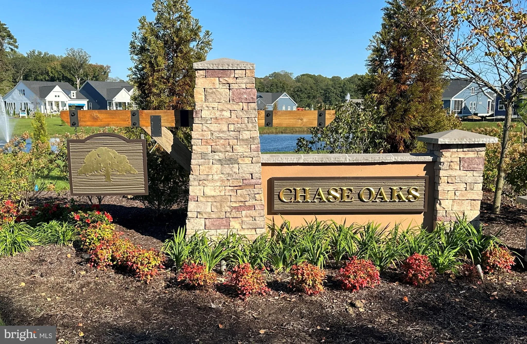 Additional image 61 of HOMESITE 157 Chase Oaks Drive, Lewes, DE 19958