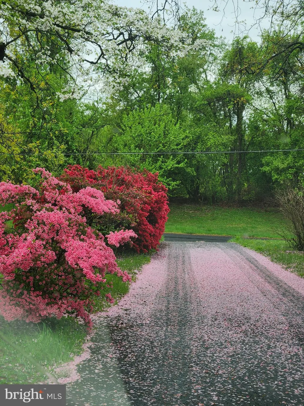 Additional image 45 of 2911 Nelson Lane, Fallston, MD 21047