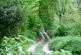 Additional image 66 of Harcombe, Lyme Regis, Devon, DT7