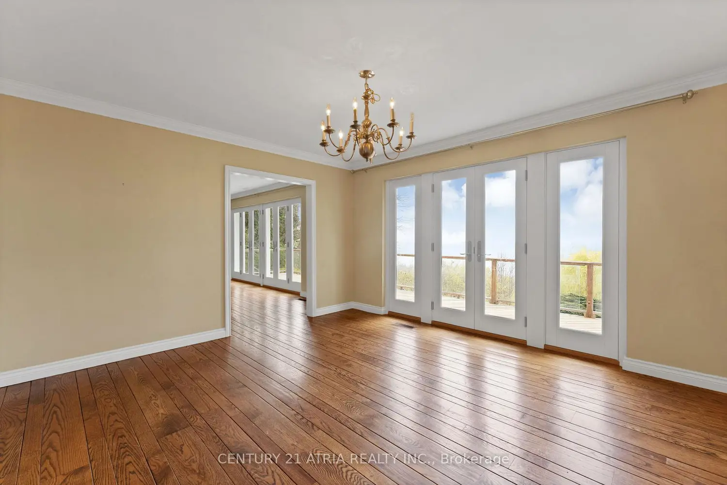 5 Hill Crescent photo 5