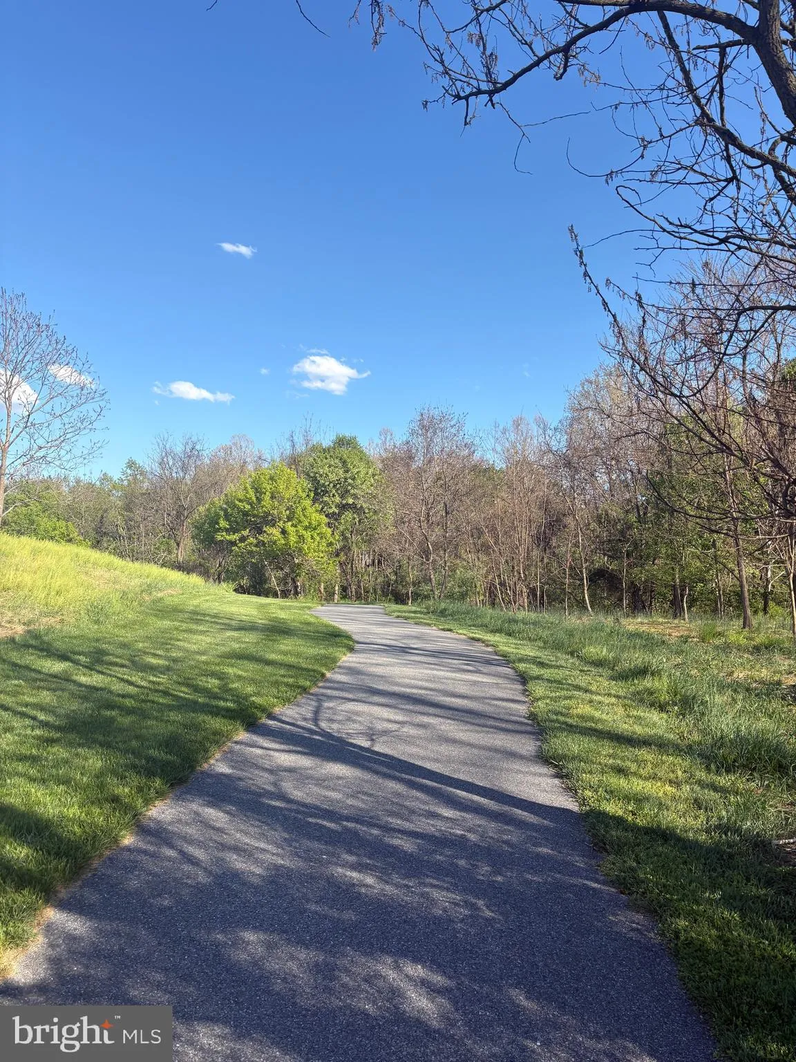 Additional image 116 of 4709 Hale Haven Drive, Ellicott City, MD 21043