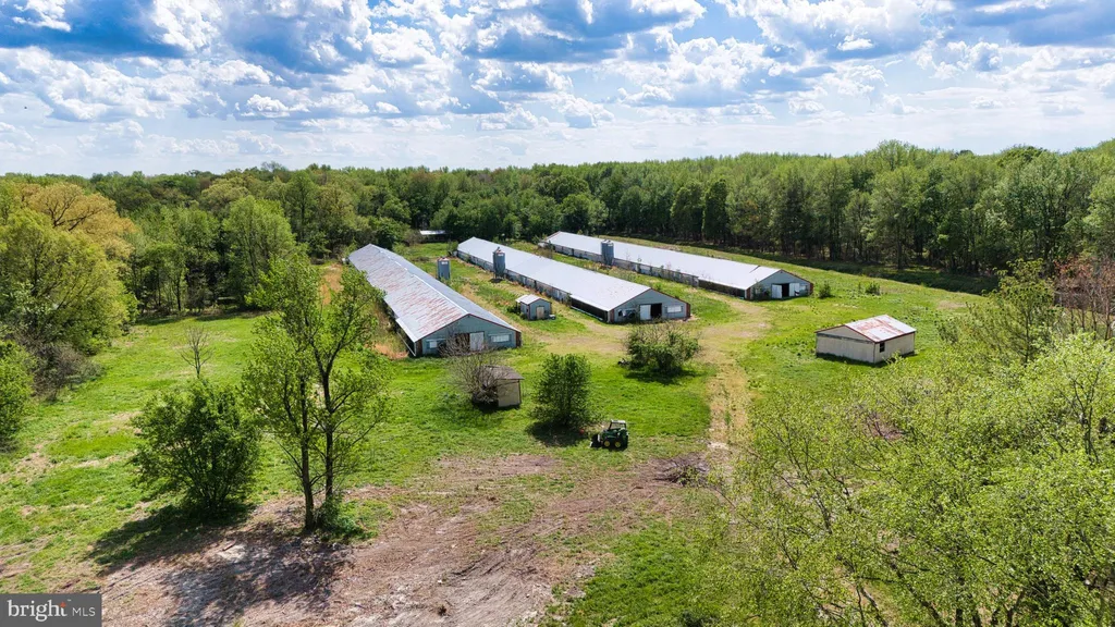 Additional image 44 of 324 Jebb Road, Camden Wyoming, DE 19934