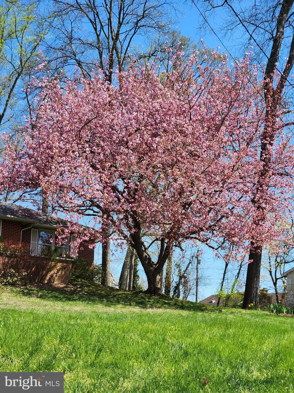 Additional image 42 of 2911 Nelson Lane, Fallston, MD 21047