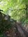 Additional image 6 of St. Martin, Looe, Cornwall, PL13