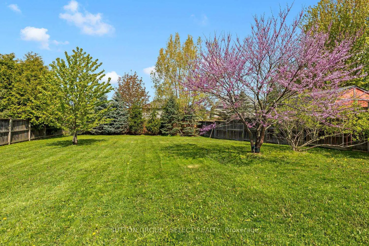 Additional image 13 of 176 Buttercup Court